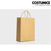 Costumice Design Brown Kraft Medium Size Paper Bag