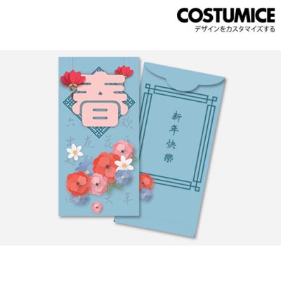 Costumice Design Large money packet 2
